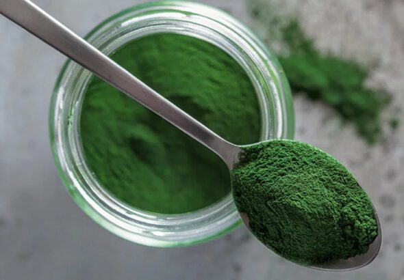 Global Chlorella Market