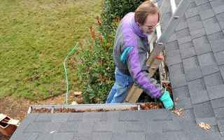 Gutter Cleaning