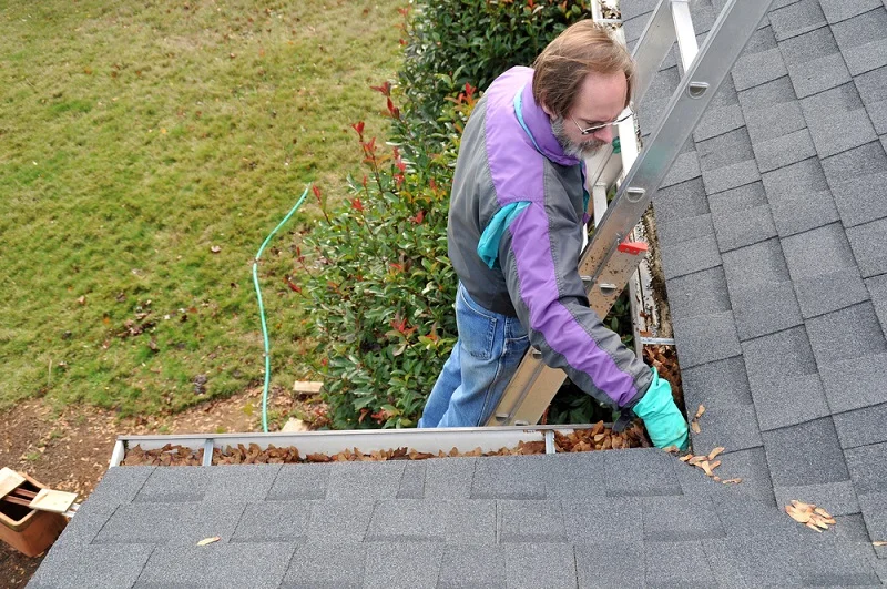 Gutter Cleaning